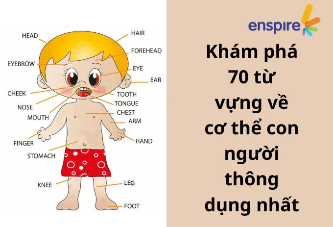 Khám phá 70 từ vựng về cơ thể con người thông dụng nhất