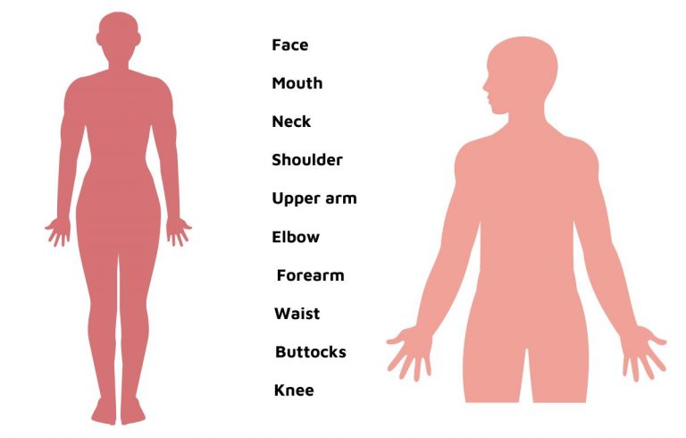 Từ khóa về cơ thể con người - The Body