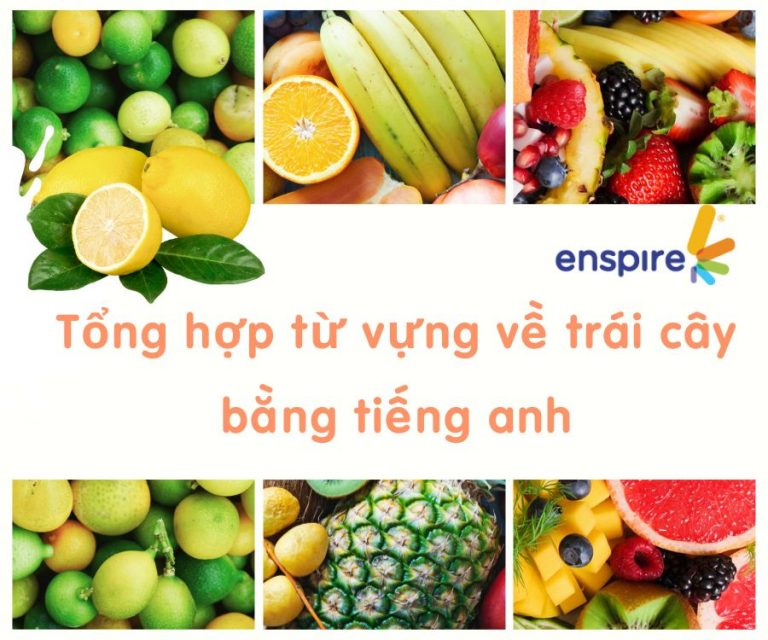 Những từ vựng về trái cây thông dụng dnahf cho bạn